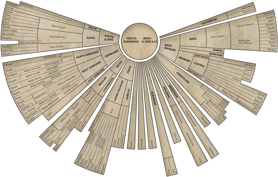 A diagram depicting the Indo-European family of languages. Drawn from The American Heritage® Dictionary of the English Language, Fourth Edition.